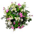 Eustoma a karafiáty